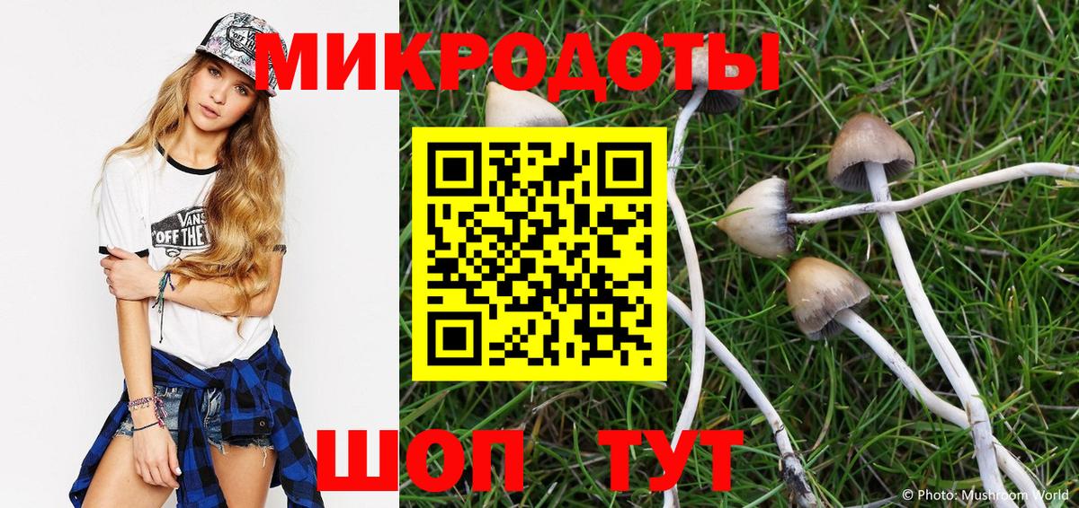 Советский  Галлюциногенные грибы Cubensis  Вход с VPN 